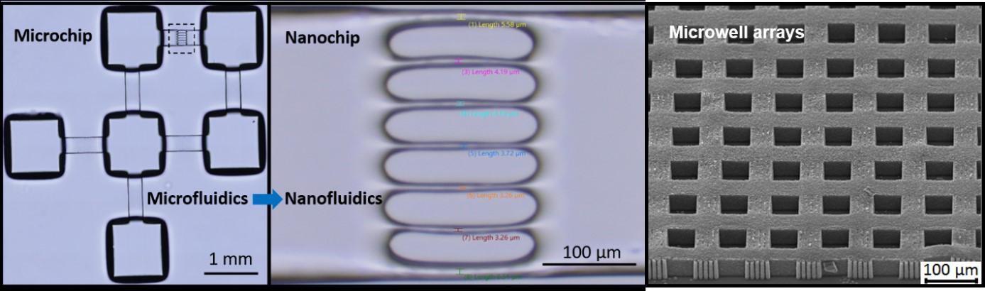 PhotonicBiosystemsLaboratory2