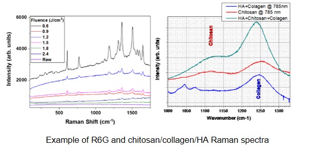 RamanMicrospectrometry